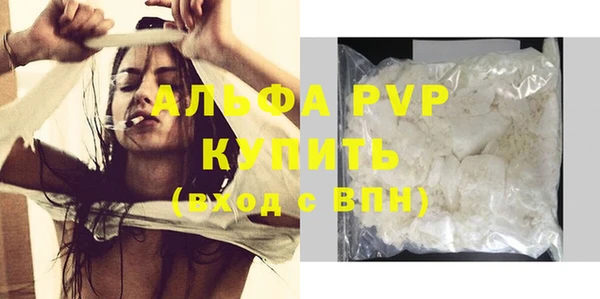 стафф Сясьстрой