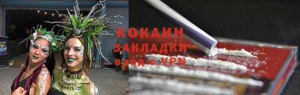 шишки Балабаново