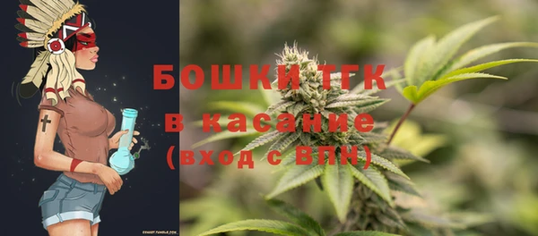стафф Сясьстрой