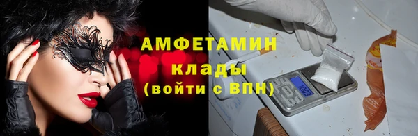 шишки Балахна