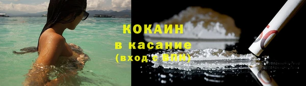 стафф Сясьстрой