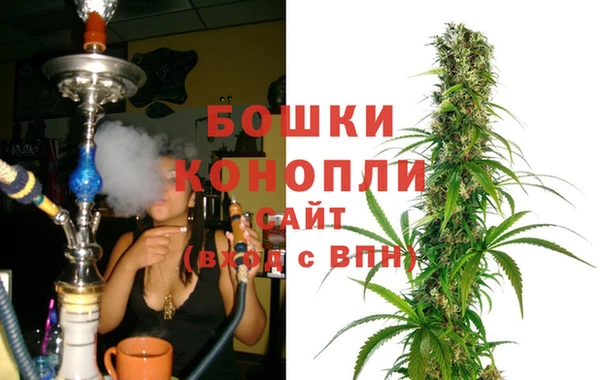 jwh Тайга