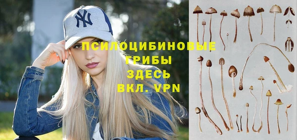 шишки Балабаново