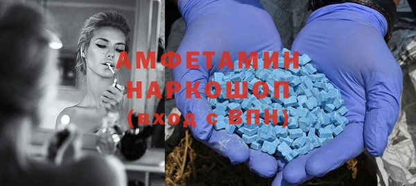 шишки Балахна